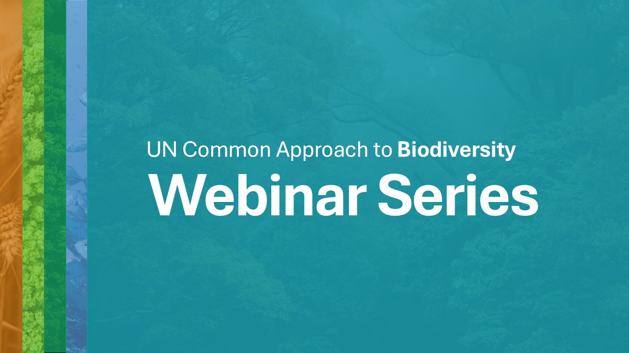 Banner for Biodiversity Webinars Page - Top of Page